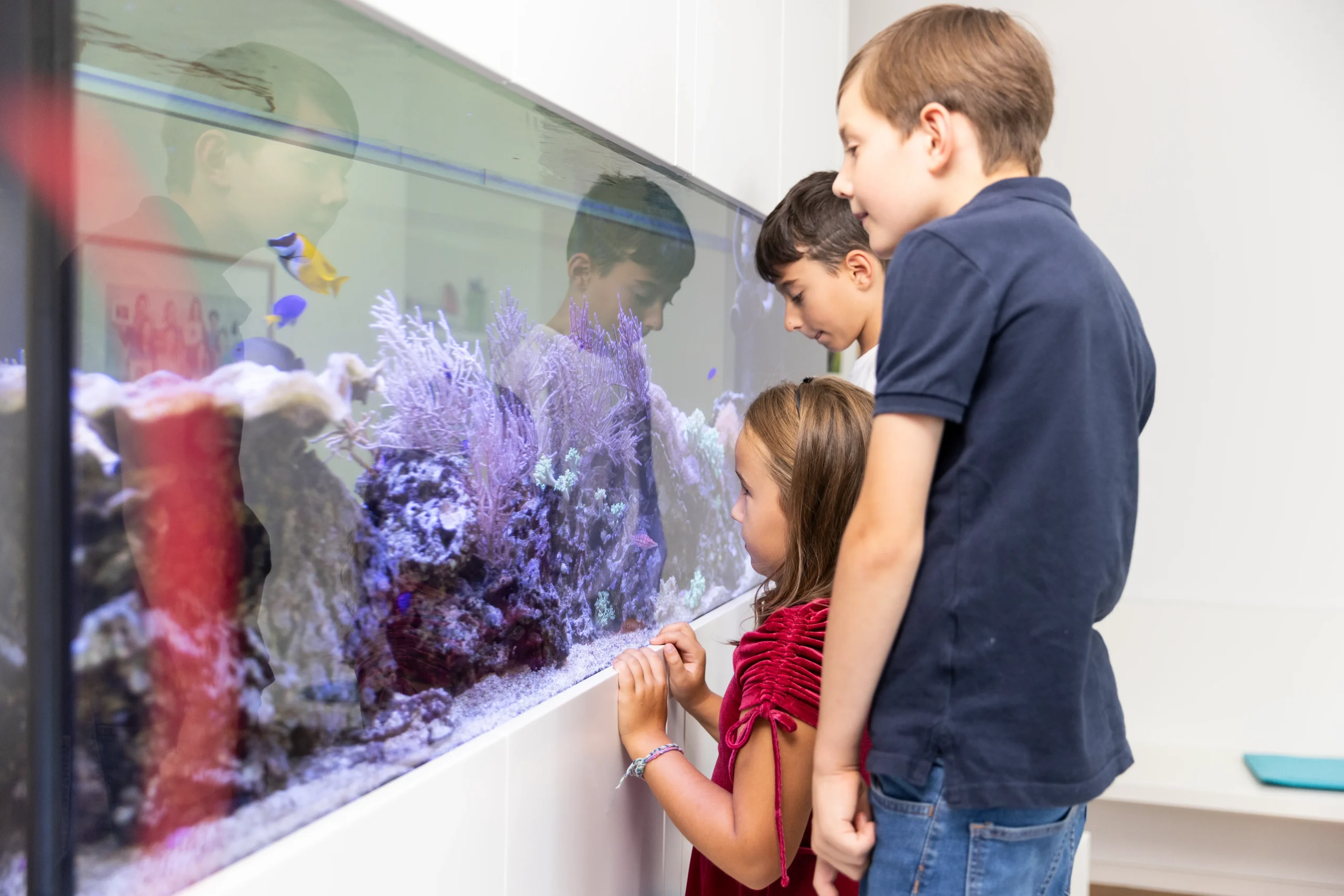 happy Kinder stehen vor Aquarium in kinderfreundlichen Praxisräumen Wolfratshausen